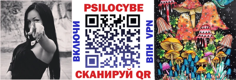 Псилоцибиновые грибы Psilocybe  где купить   Томилино 